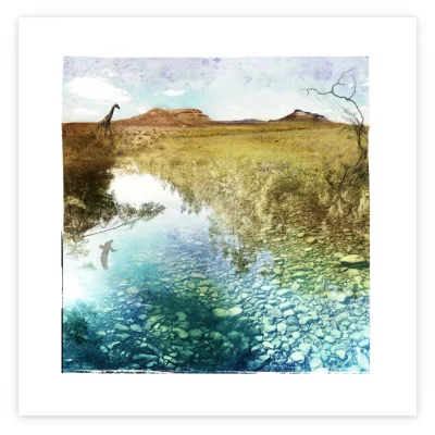 Karoo landscape and waterscape with giraffe and bird