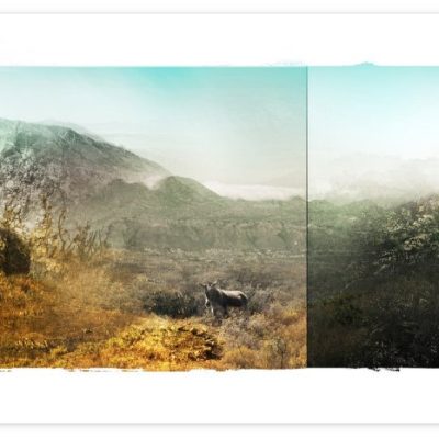 Artwork inspired by hiking in the Hottentots-Holland mountains in South Africa