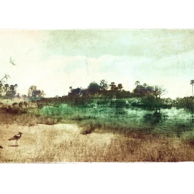 Riverine landscape with birds and a tree-rich horizon - digital montage art landscape by Janet Botes