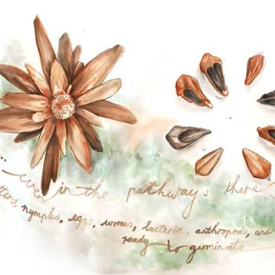 Watercolour painting of protea and pine seeds, inspired by walking on forest paths where there is life, growth, critters, worms, bacteria, seeds ready to germinate...